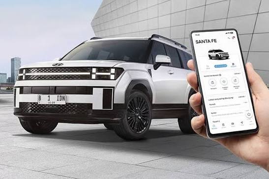 fungsi hyundai bluelink dan cara pakainya